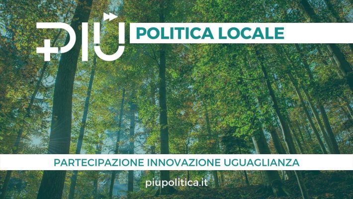 PIU - Politica locale