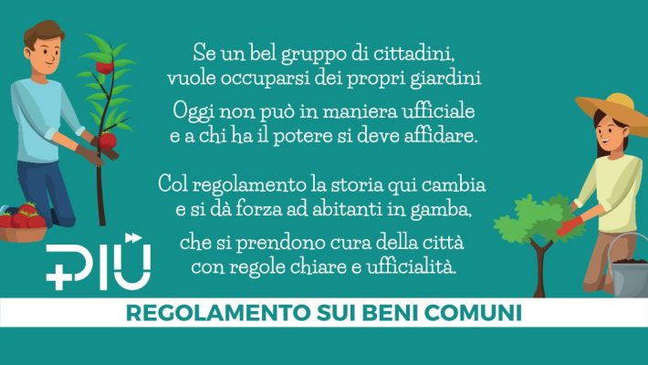 PIU - Regolamento Beni Comuni